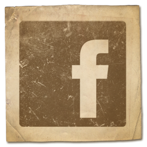 facebook 300 n